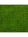 Tapis vert Beni Ouarain 142 x 236 cm - 299 €